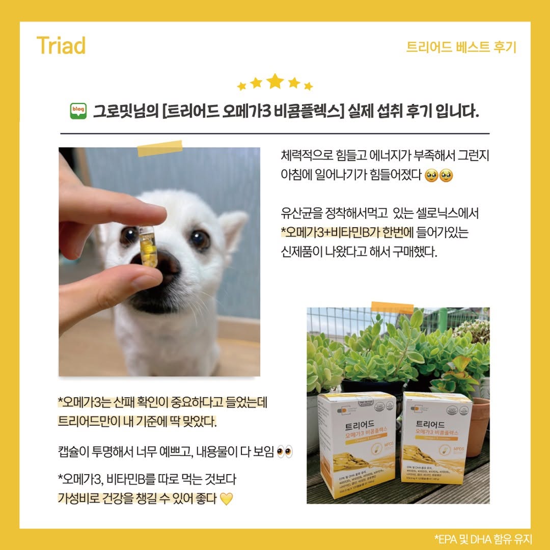 #트리어드 #리얼후기 #내돈내산