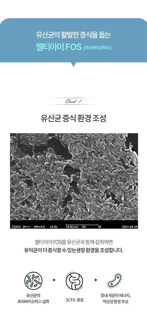 100% 프락토올리고당으로 유산균 증식 환경을 조성하여 빈틈없이 장건강 관리를 할 수 있는 프리바이오틱스. 유산균먹이 쎌티아이FOS 추천